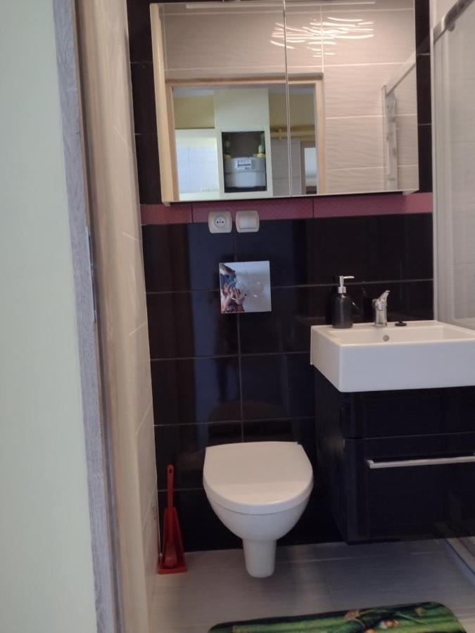 Apartament Elegant Katowice Zewnętrze zdjęcie